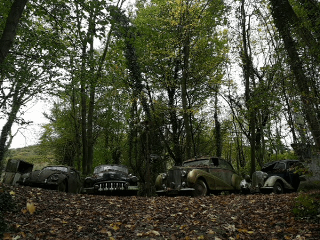 Autoskulpturenpark im Neandertal