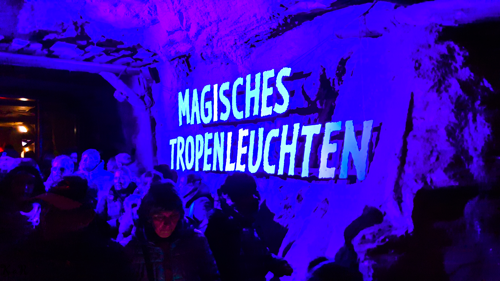 Magisches Tropenleuchten im Zoo Leipzig – noch bis 09.02.2020