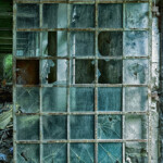 Eine alte Sprossentür mit teils zerbrochenen Fenstern