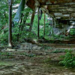 Das Dach der alten Fabrikhalle ist teils eingestürzt