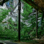 Ein Blick aus der alten Fabrikhalle auf andere Gebäudeteile