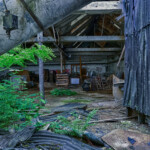 Farn und andere Gewächse holen sich die Fabrikhalle langsam zurück