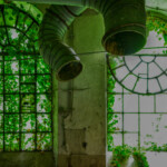 Zwei dicke Rochre hängen von der Decke, dahinter wunderschöne runde Fenster, die von Efeu bewachsen sind